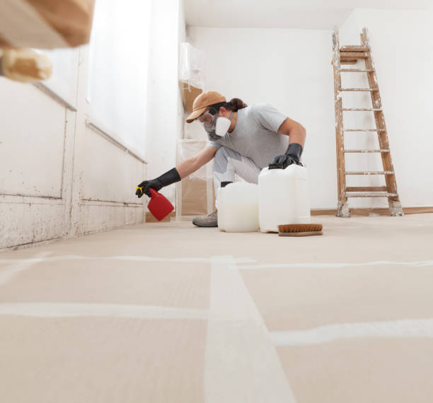 Best Air Quality Testing for Mold Spores  in East Cleveland, OH